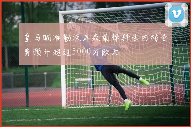 皇马瞄准勒沃库森前锋科法内转会费预计超过5000万欧元