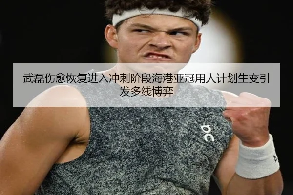 武磊伤愈恢复进入冲刺阶段海港亚冠用人计划生变引发多线博弈 | kaiyun